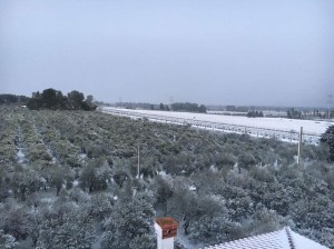 Castellaneta - campagne sotto la neve